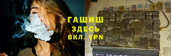 шишки Бородино