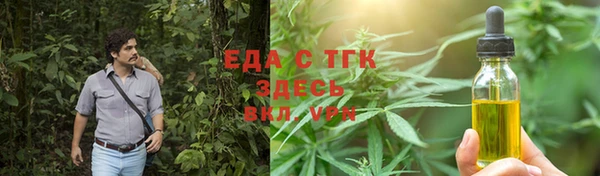 шишки Бородино