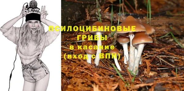шишки Бородино