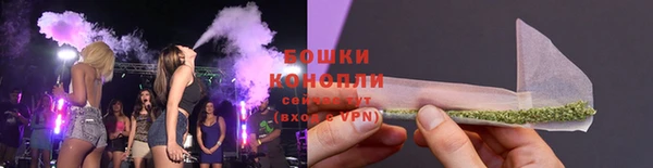 шишки Бородино