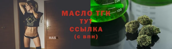 шишки Бородино