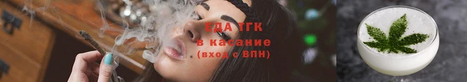 шишки Бородино