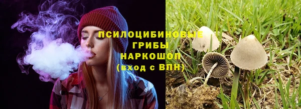 тгк Бронницы