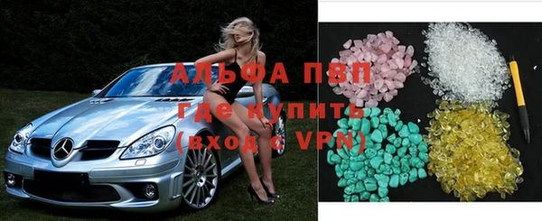 шишки Бородино