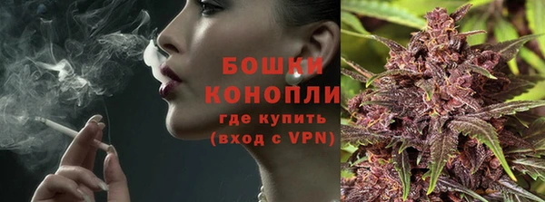тгк Бронницы