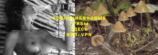 шишки Бородино