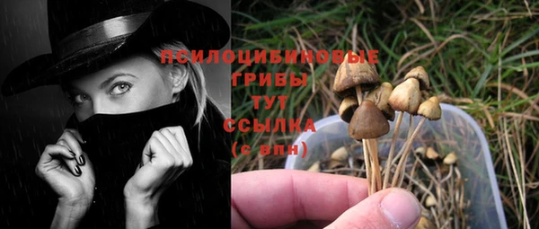 шишки Бородино